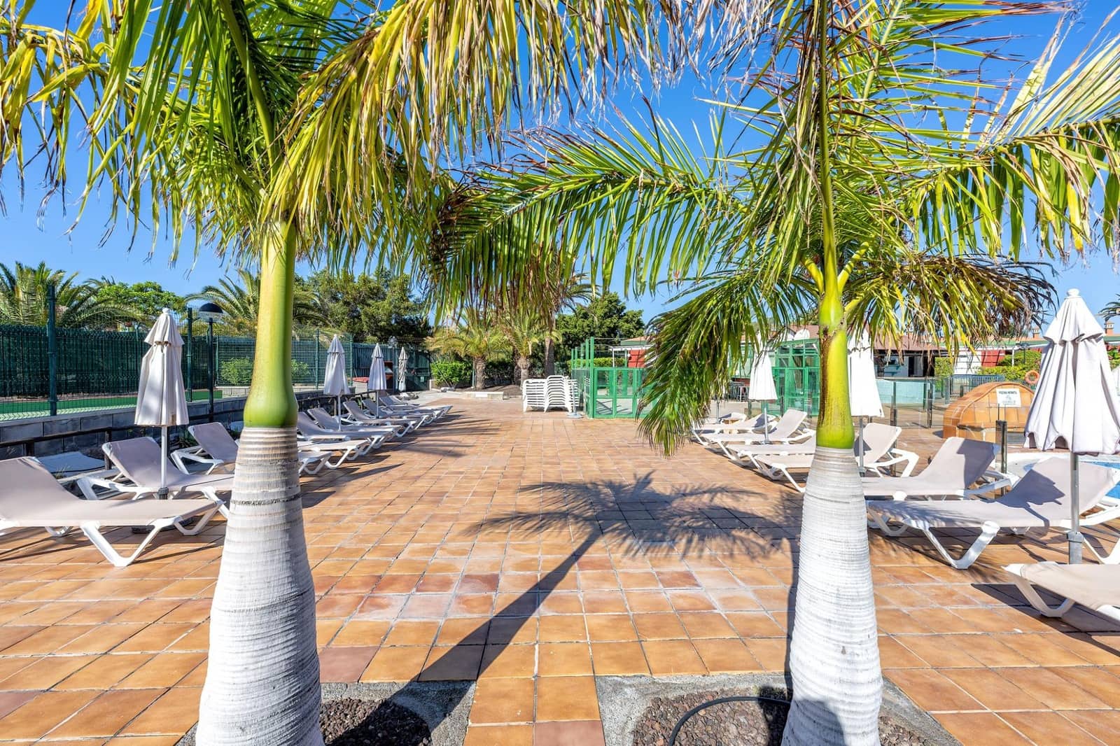 Commercieel te koop in Maspalomas met zwembad - € 189.000 (Ref: 9878778)