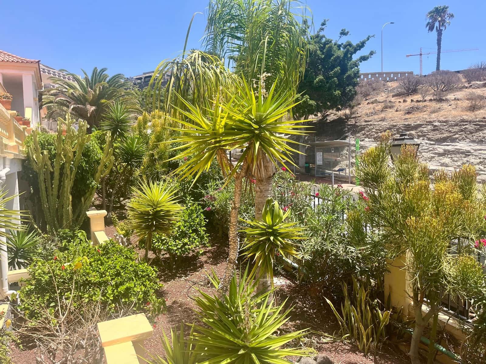 2 sovrum Takvåning till salu i Costa Adeje med pool - 480 000 € (Ref: 10031435)
