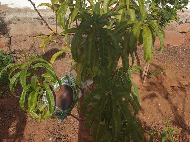 3 quarto Apartamento para venda em Los Cristianos com garagem - 585 000 € (Ref: 8670132)