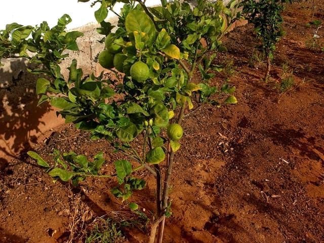 3 quarto Apartamento para venda em Los Cristianos com garagem - 585 000 € (Ref: 8670132)