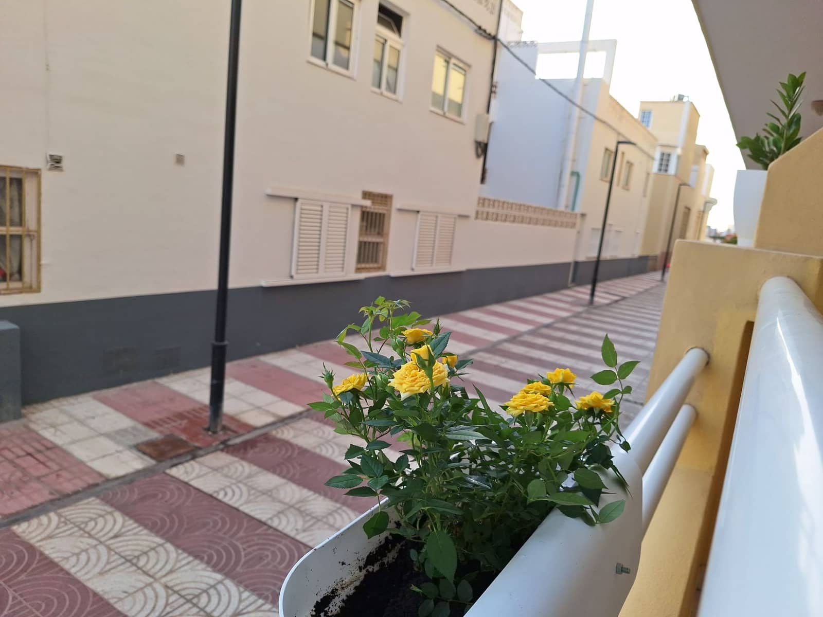 2 camera da letto Appartamento in vendita in Los Cristianos - 399.000 € (Rif: 9153604)