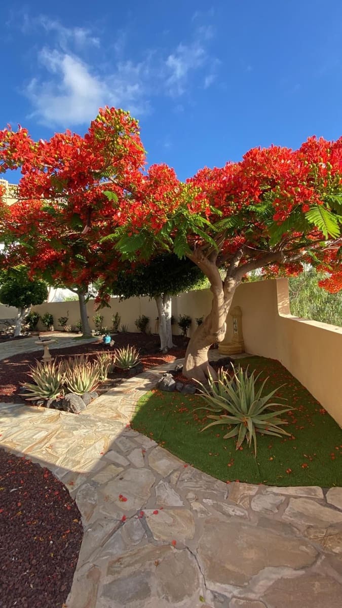 2 soveværelse Villa til salg i Costa Adeje med swimmingpool garage - € 799.000 (Ref: 9206255)