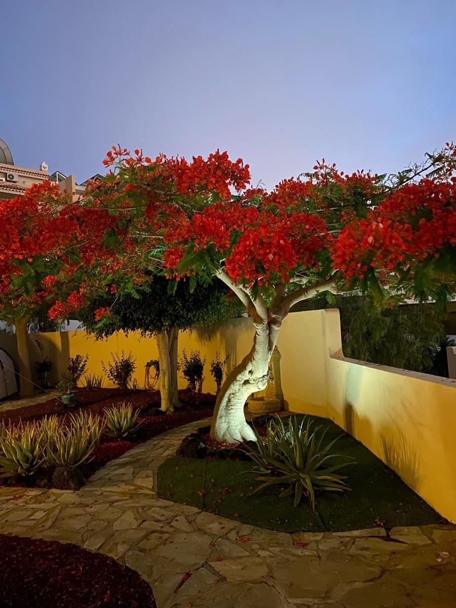 2 soveværelse Villa til salg i Costa Adeje med swimmingpool garage - € 799.000 (Ref: 9206255)