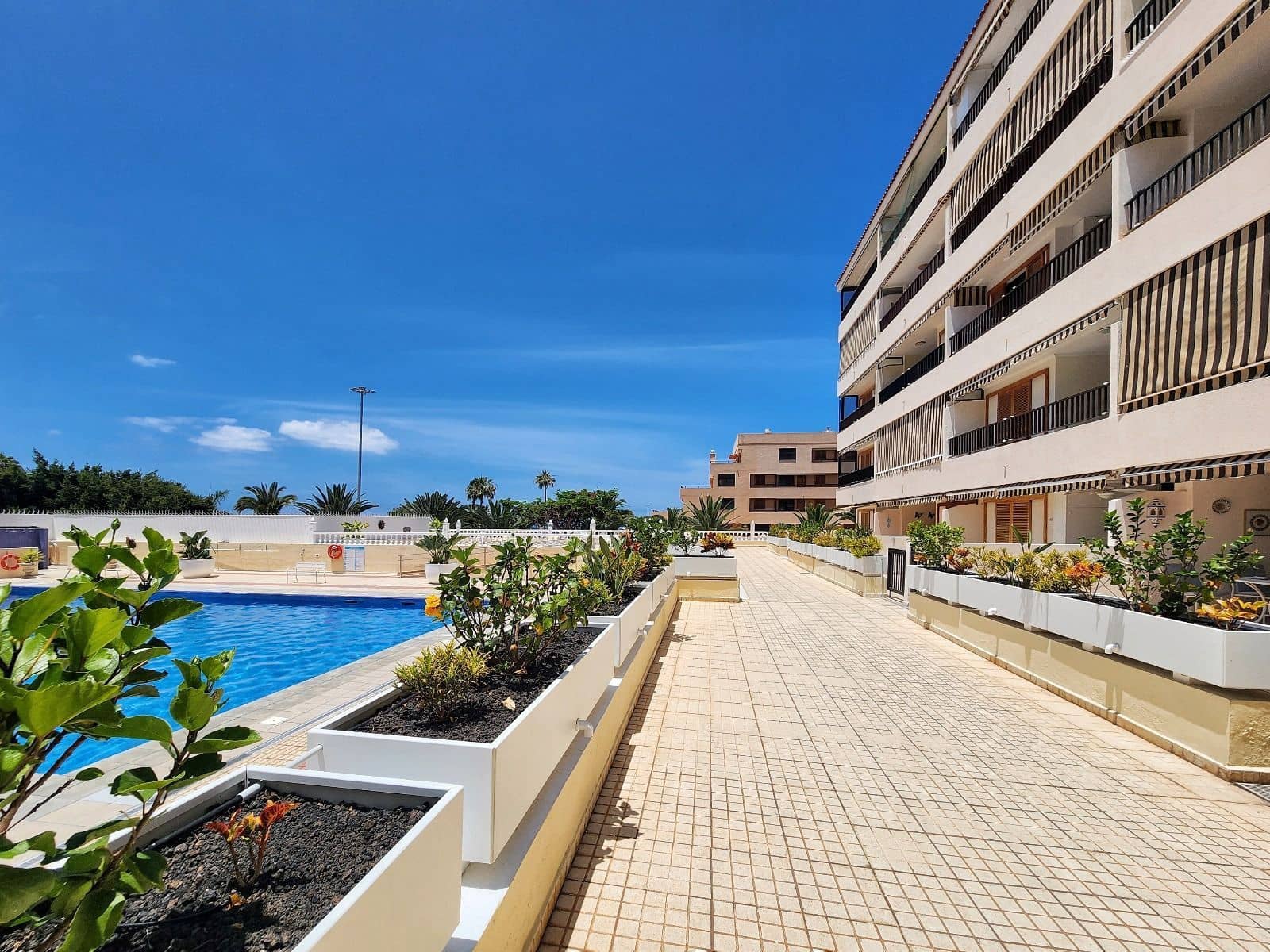 2 chambre Appartement à vendre à Los Cristianos avec piscine - 425 000 € (Ref: 9272083)