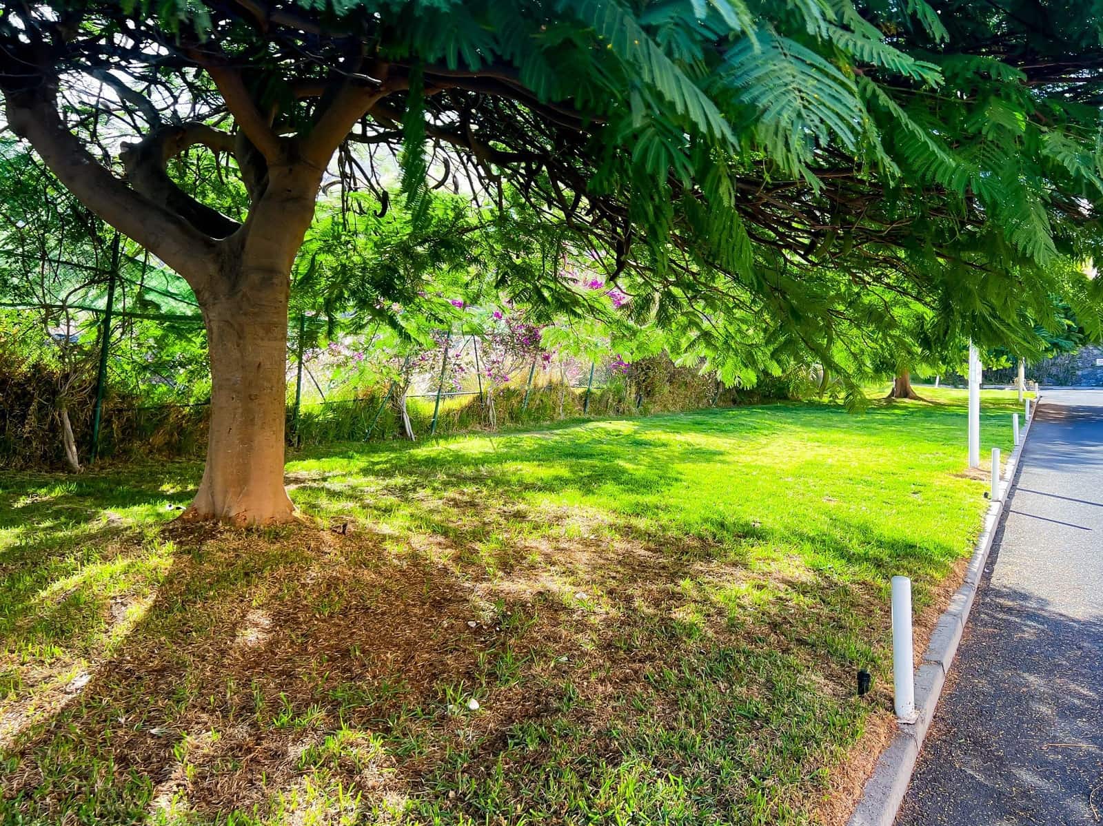 3 slaapkamer Halfvrijstaande villa te koop in El Madronal met garage - € 475.000 (Ref: 9395718)