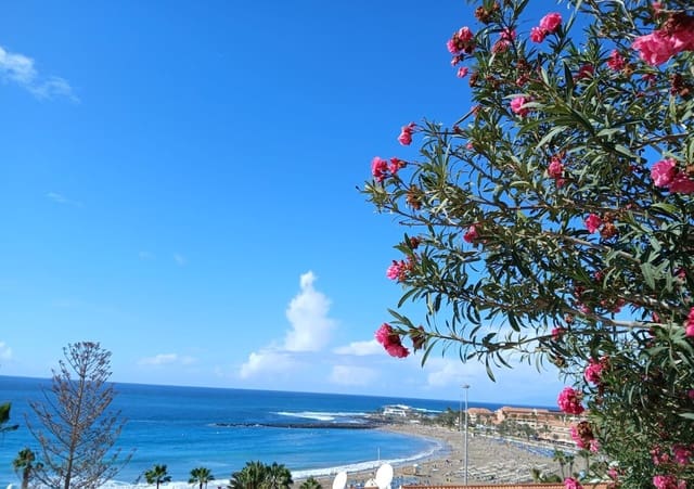 1 quarto Apartamento para venda em Los Cristianos, Arona - 270 000 € (Ref: 9636436)