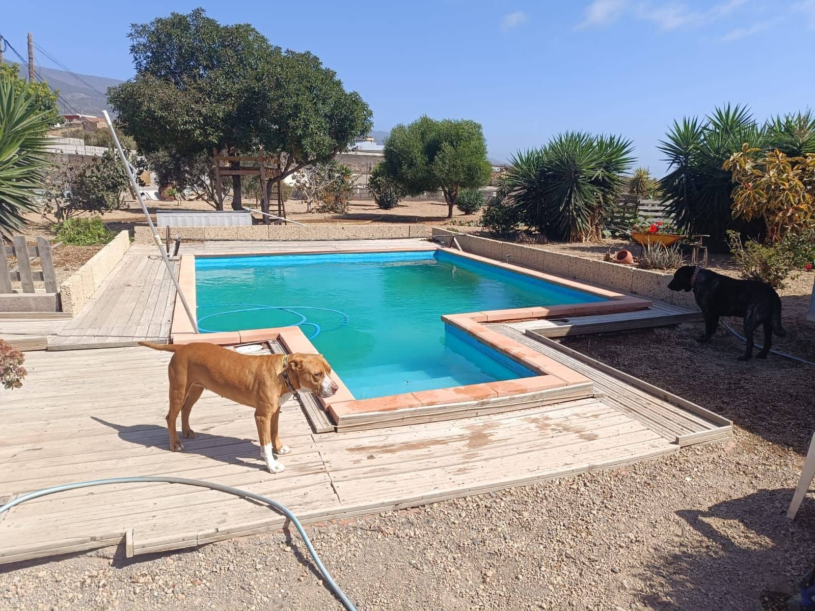 4 soveværelse Finca/Landehus til salg i Arico med swimmingpool garage - € 342.000 (Ref: 9966106)