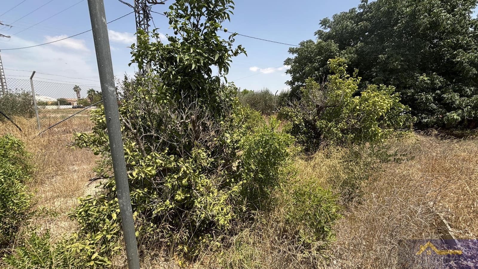 6 Zimmer Finca/Landgut zu verkaufen in Los Martinez del Puerto - 149.500 € (Ref: 10034641)