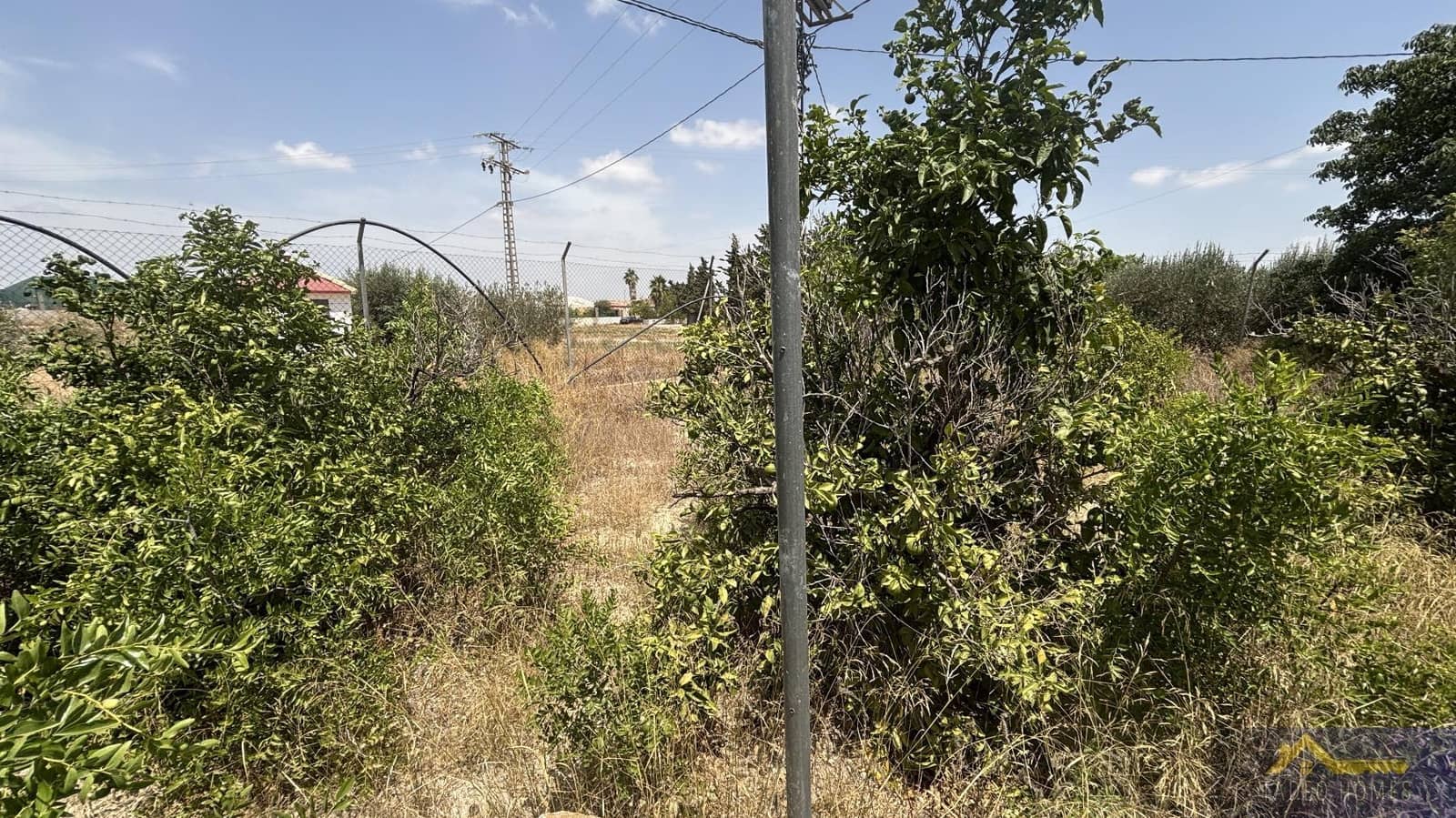6 Zimmer Finca/Landgut zu verkaufen in Los Martinez del Puerto - 149.500 € (Ref: 10034641)