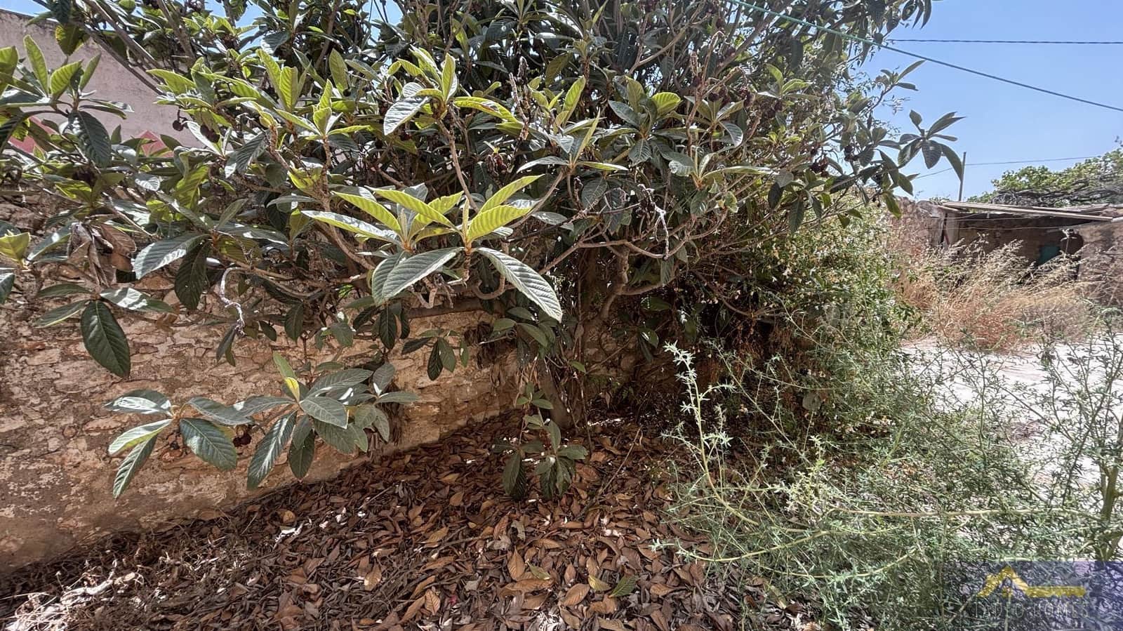6 Zimmer Finca/Landgut zu verkaufen in Los Martinez del Puerto - 149.500 € (Ref: 10034641)