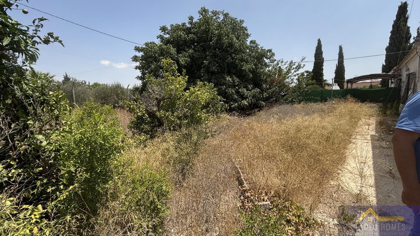 6 bedroom Finca/Country House for sale in Los Martinez del Puerto - € 219,500 (Ref: 9422217)