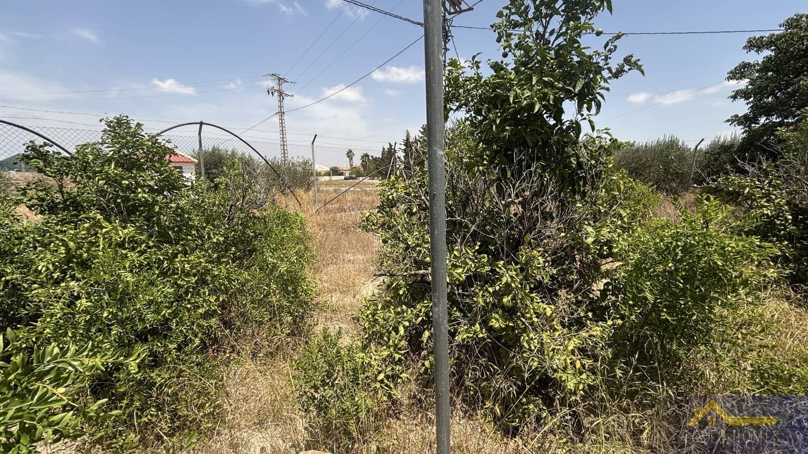 6 bedroom Finca/Country House for sale in Los Martinez del Puerto - € 219,500 (Ref: 9422217)