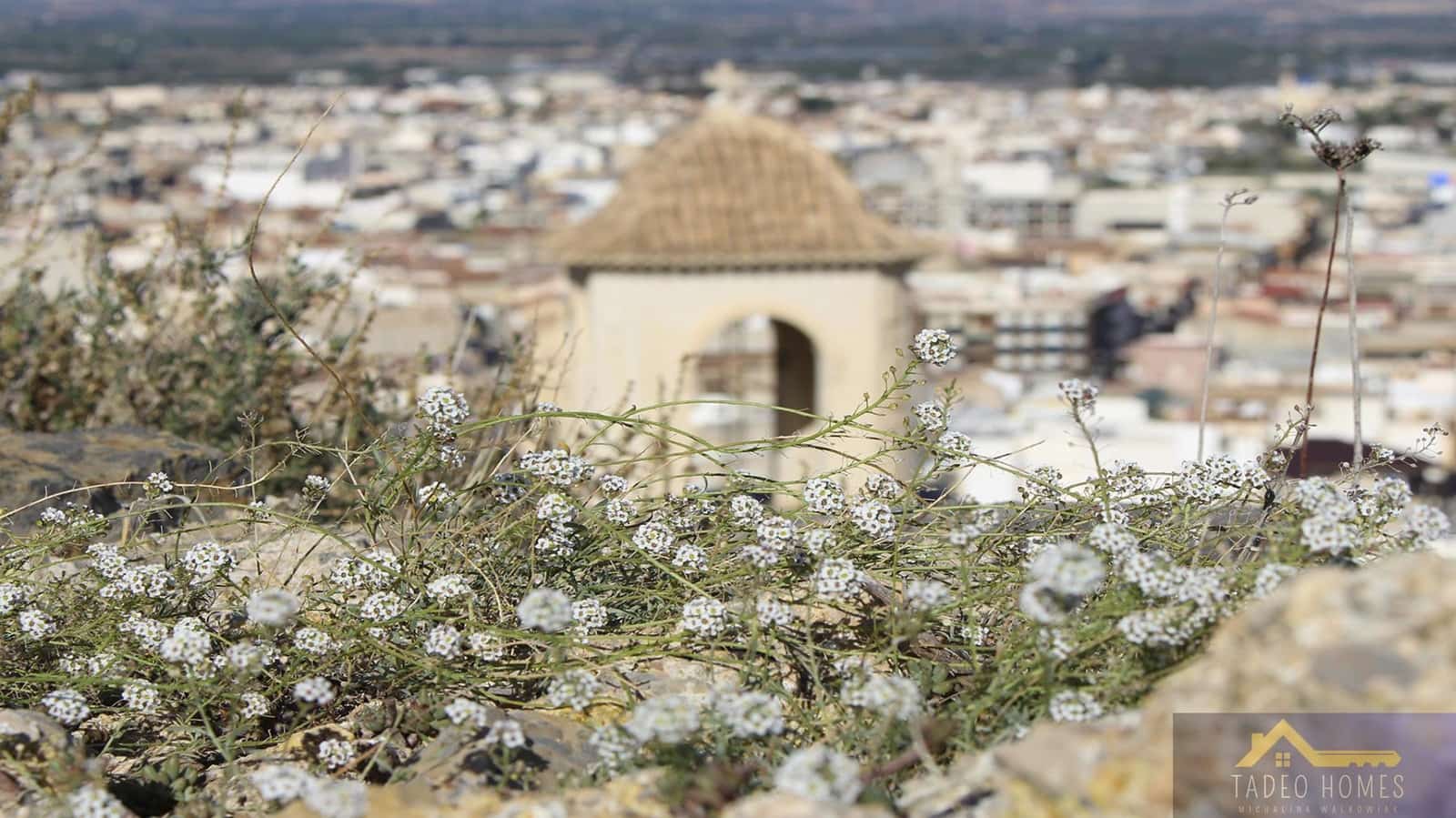 3 soverom Kjedet enebolig til salgs i Cox med svømmebasseng - € 229 000 (Ref: 9622601)