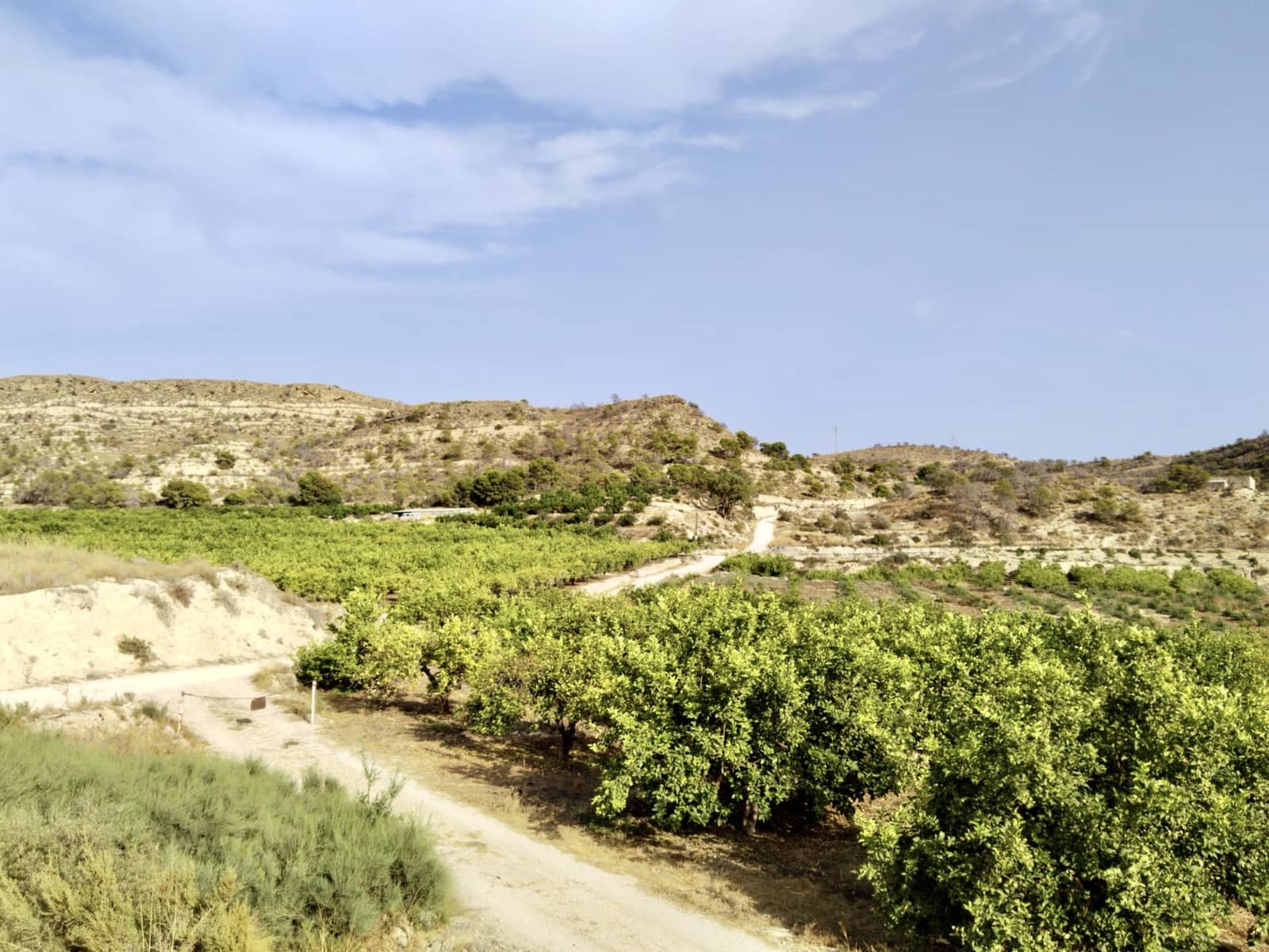 Grunde uden byggetilladelser til salg i La Villajoyosa / Vila Joiosa - € 420.000 (Ref: 10057708)
