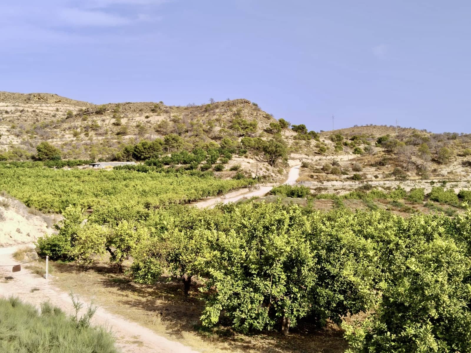 Grunde uden byggetilladelser til salg i La Villajoyosa / Vila Joiosa - € 420.000 (Ref: 10057708)