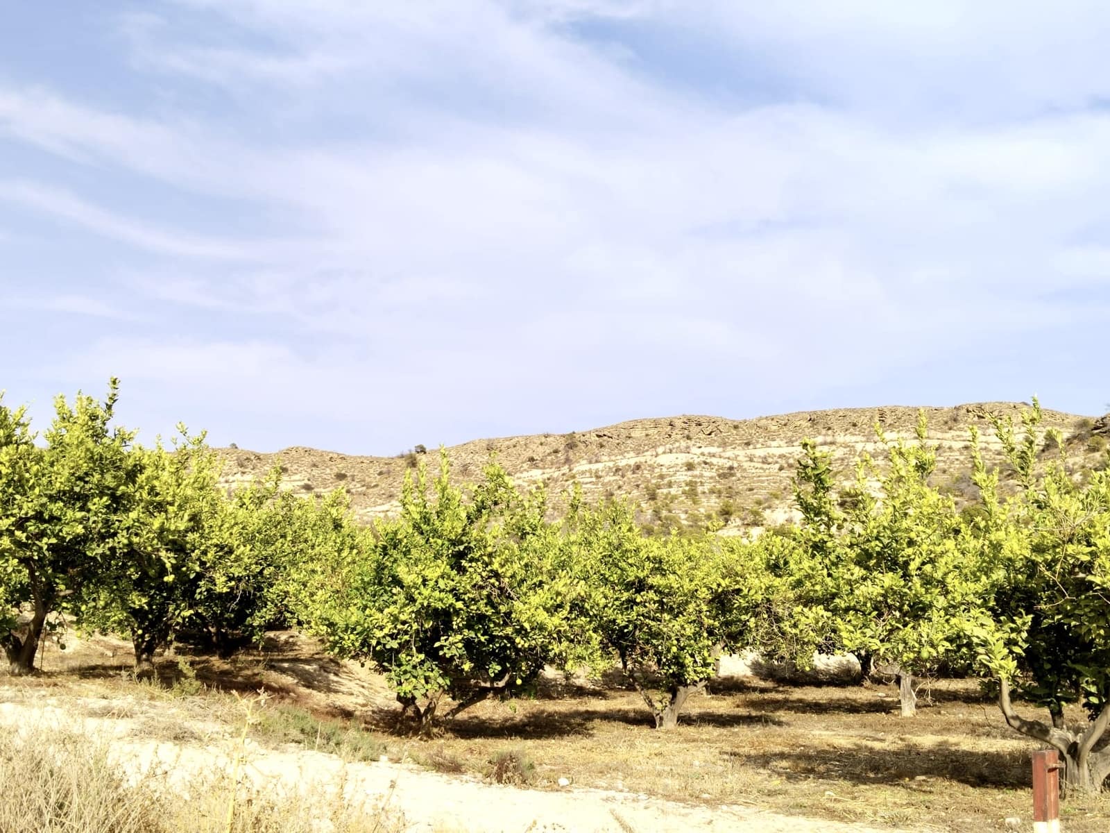 Grunde uden byggetilladelser til salg i La Villajoyosa / Vila Joiosa - € 420.000 (Ref: 10057708)