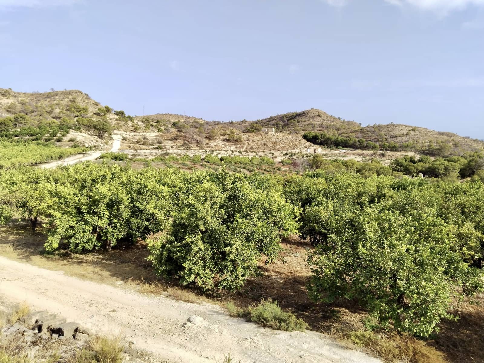 Grunde uden byggetilladelser til salg i La Villajoyosa / Vila Joiosa - € 420.000 (Ref: 10057708)