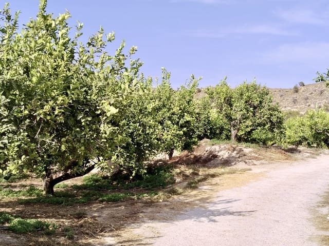 Undeveloped Land for sale in El Secanet - Hacienda del Sol, La Villajoyosa / Vila Joiosa - € 420,000 (Ref: 10057708)