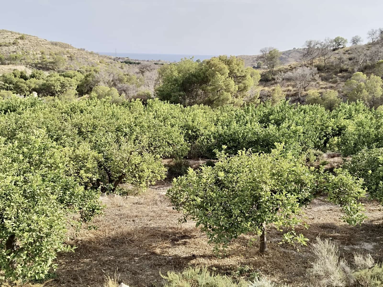 Grunde uden byggetilladelser til salg i La Villajoyosa / Vila Joiosa - € 420.000 (Ref: 10057708)