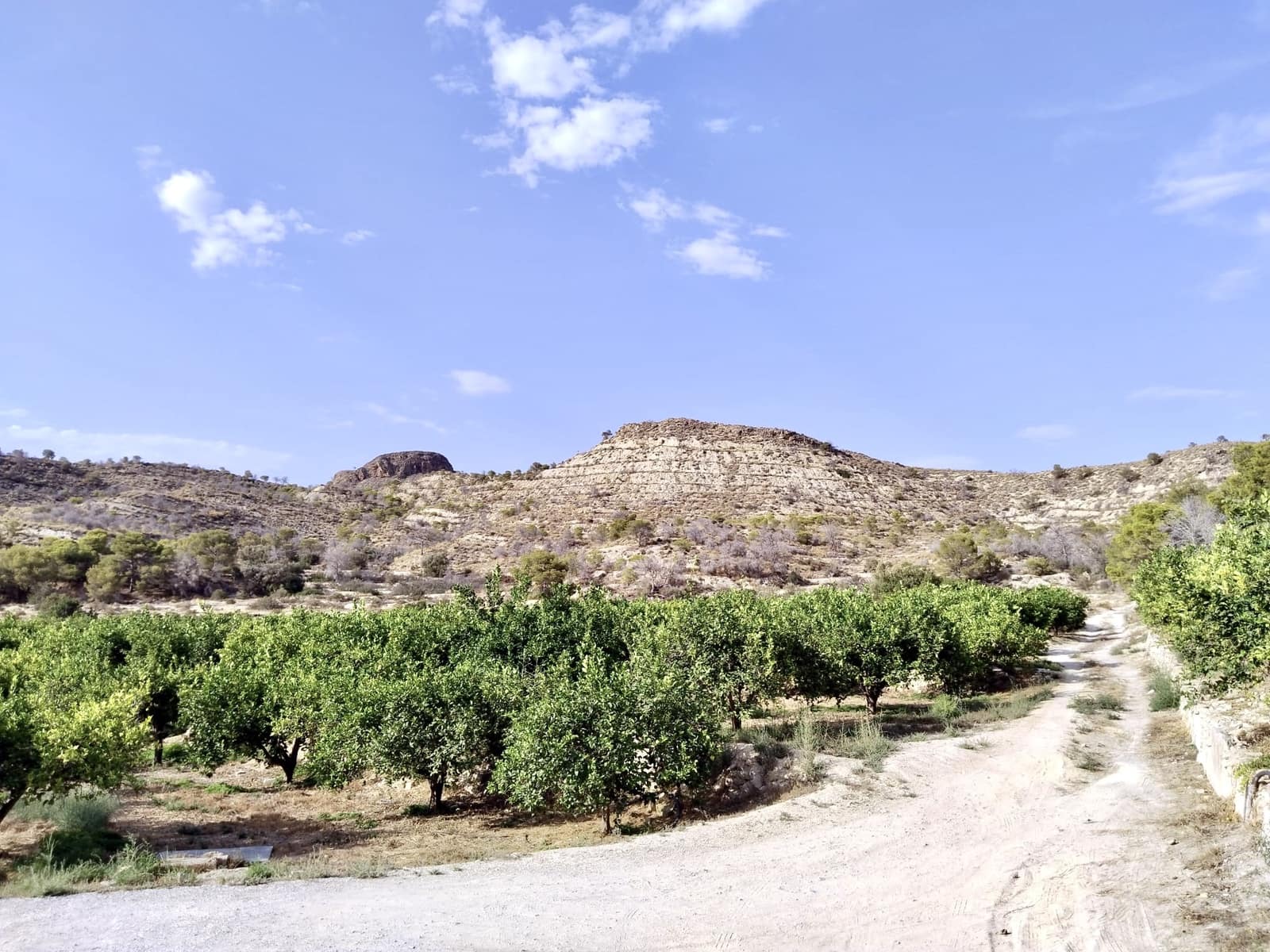 Grunde uden byggetilladelser til salg i La Villajoyosa / Vila Joiosa - € 420.000 (Ref: 10057708)