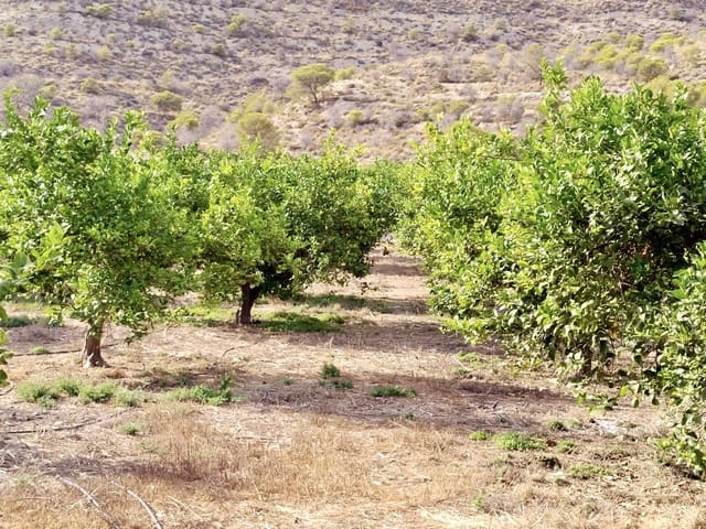 Undeveloped Land for sale in El Secanet - Hacienda del Sol, La Villajoyosa / Vila Joiosa - € 420,000 (Ref: 10057708)