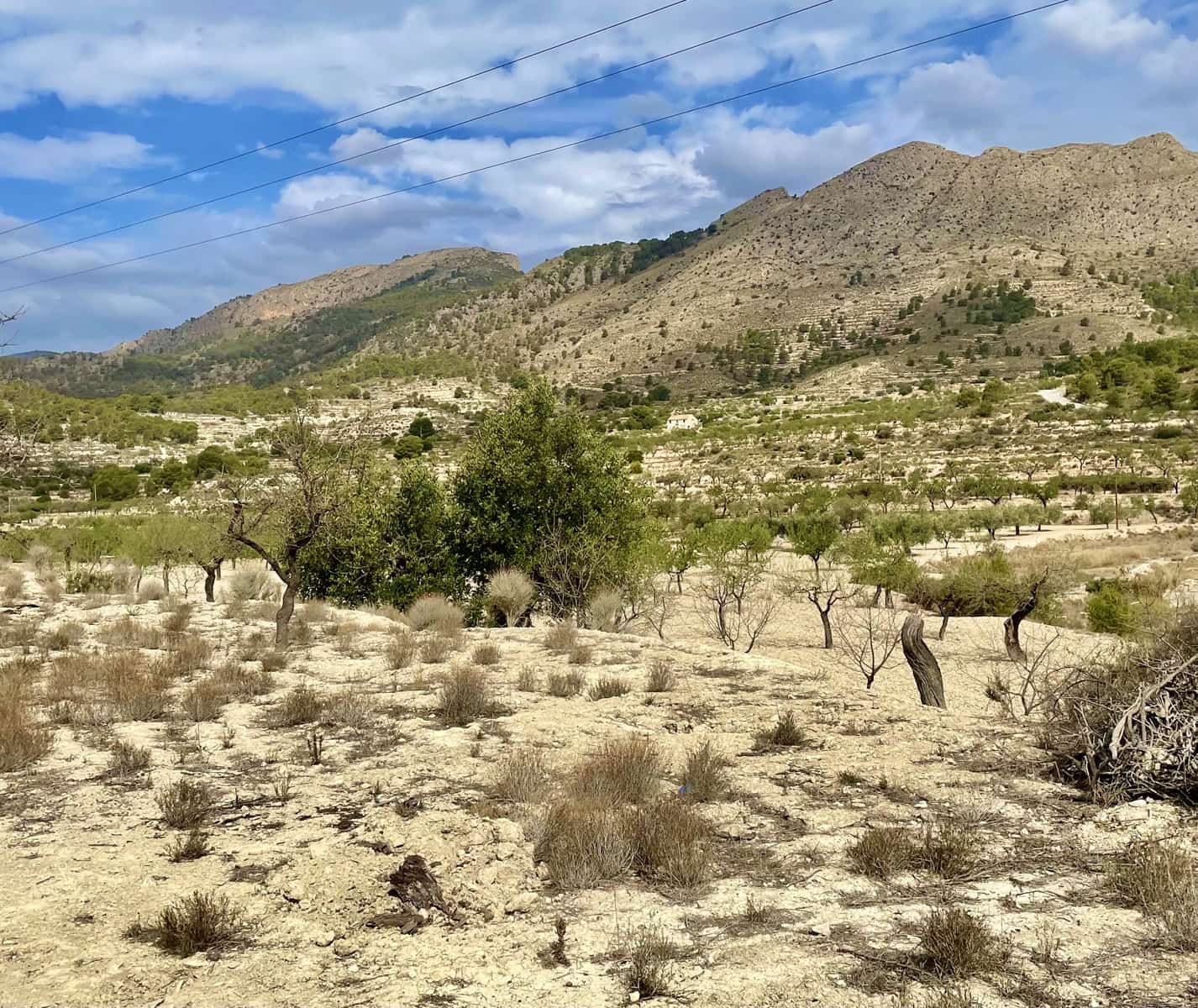 Grunde uden byggetilladelser til salg i Relleu - € 49.000 (Ref: 7862901)