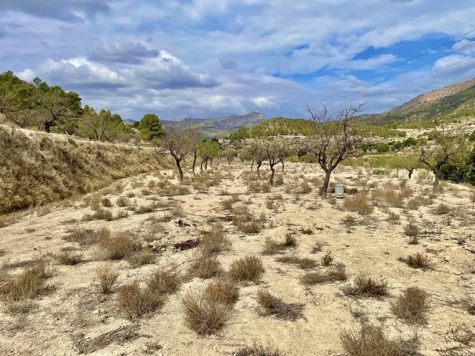 Grunde uden byggetilladelser til salg i Relleu - € 49.000 (Ref: 7862901)