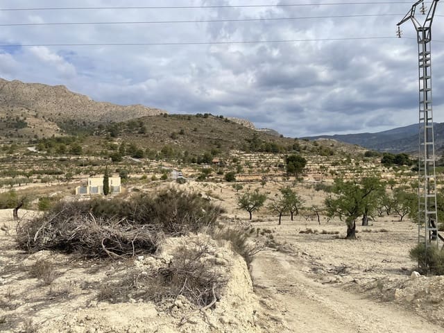 Grunde uden byggetilladelser til salg i Relleu - € 49.000 (Ref: 7862901)