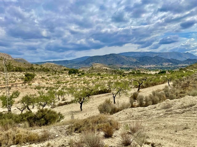 Grunde uden byggetilladelser til salg i Relleu - € 49.000 (Ref: 7862901)