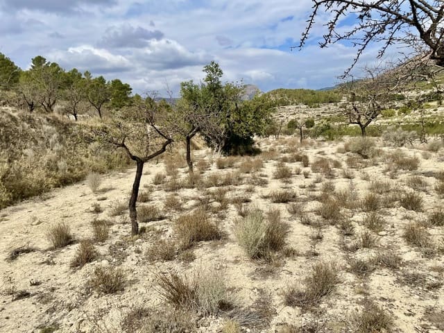 Grunde uden byggetilladelser til salg i Relleu - € 49.000 (Ref: 7862901)