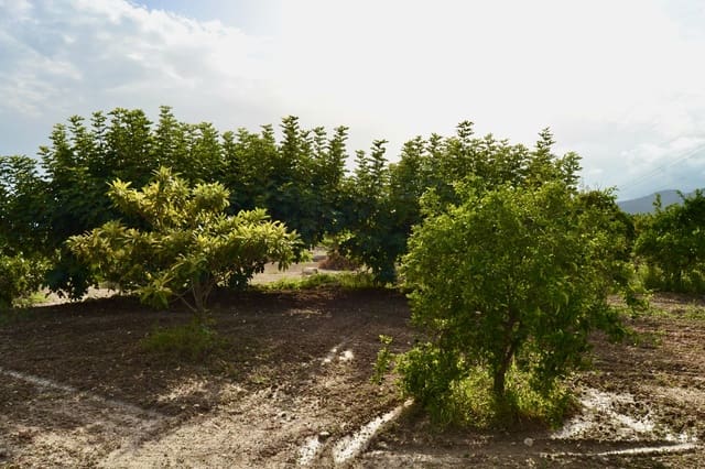 6 bedroom Villa for sale in El Secanet - Hacienda del Sol, La Villajoyosa / Vila Joiosa with pool garage - € 350,000 (Ref: 7864851)