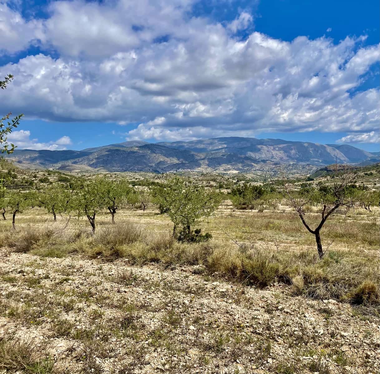 3 soveværelse Finca/Landehus til salg i Relleu - € 189.000 (Ref: 8371740)