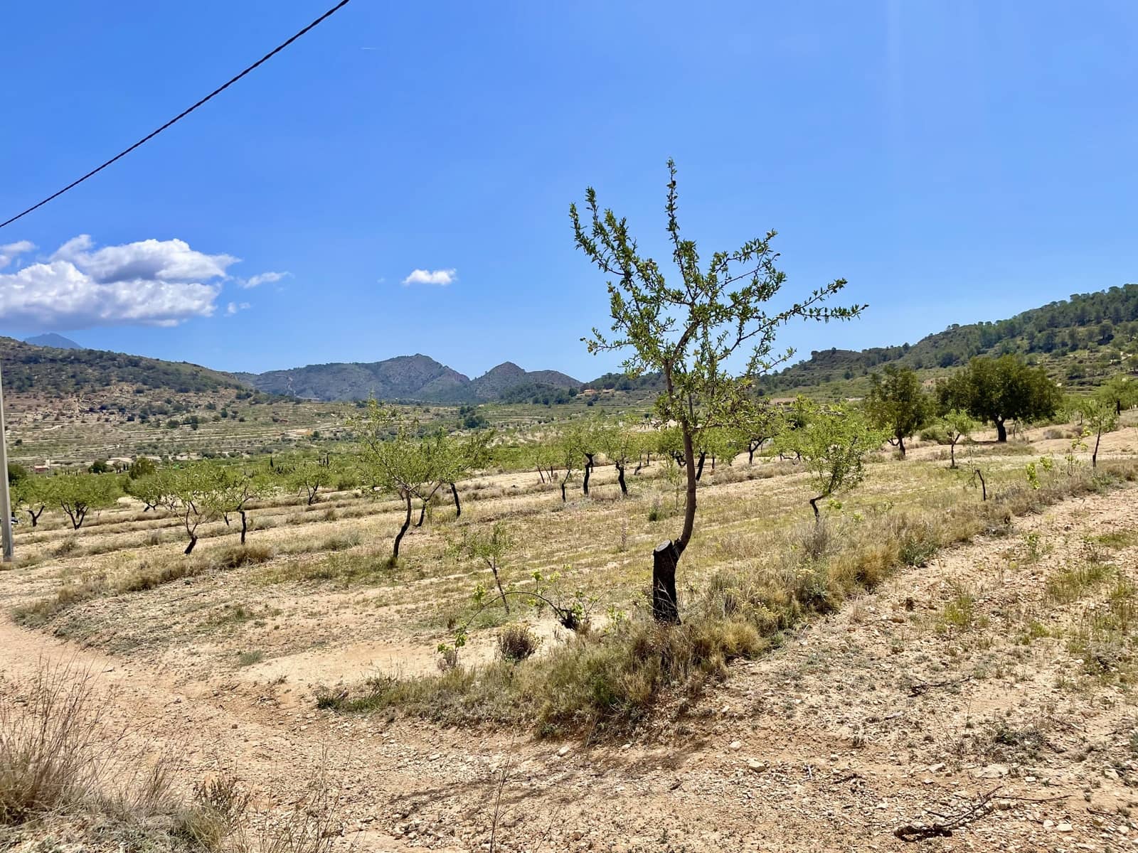 3 soveværelse Finca/Landehus til salg i Relleu - € 189.000 (Ref: 8371740)