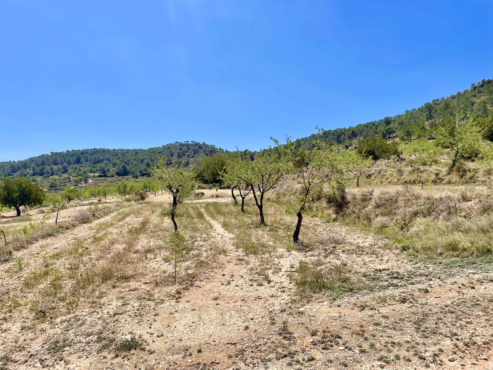 3 soveværelse Finca/Landehus til salg i Relleu - € 189.000 (Ref: 8371740)