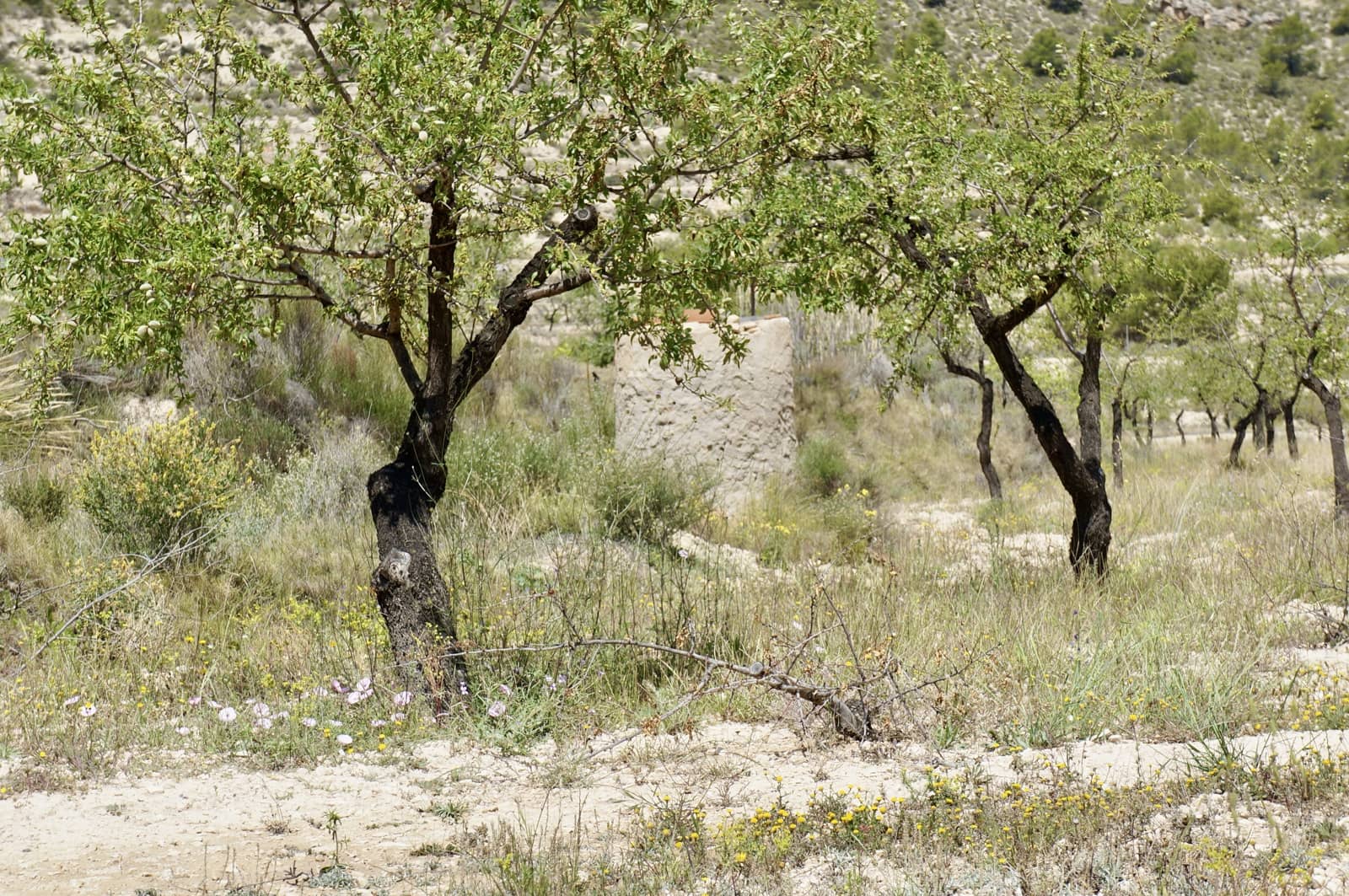 3 soveværelse Finca/Landehus til salg i Relleu - € 189.000 (Ref: 8371740)