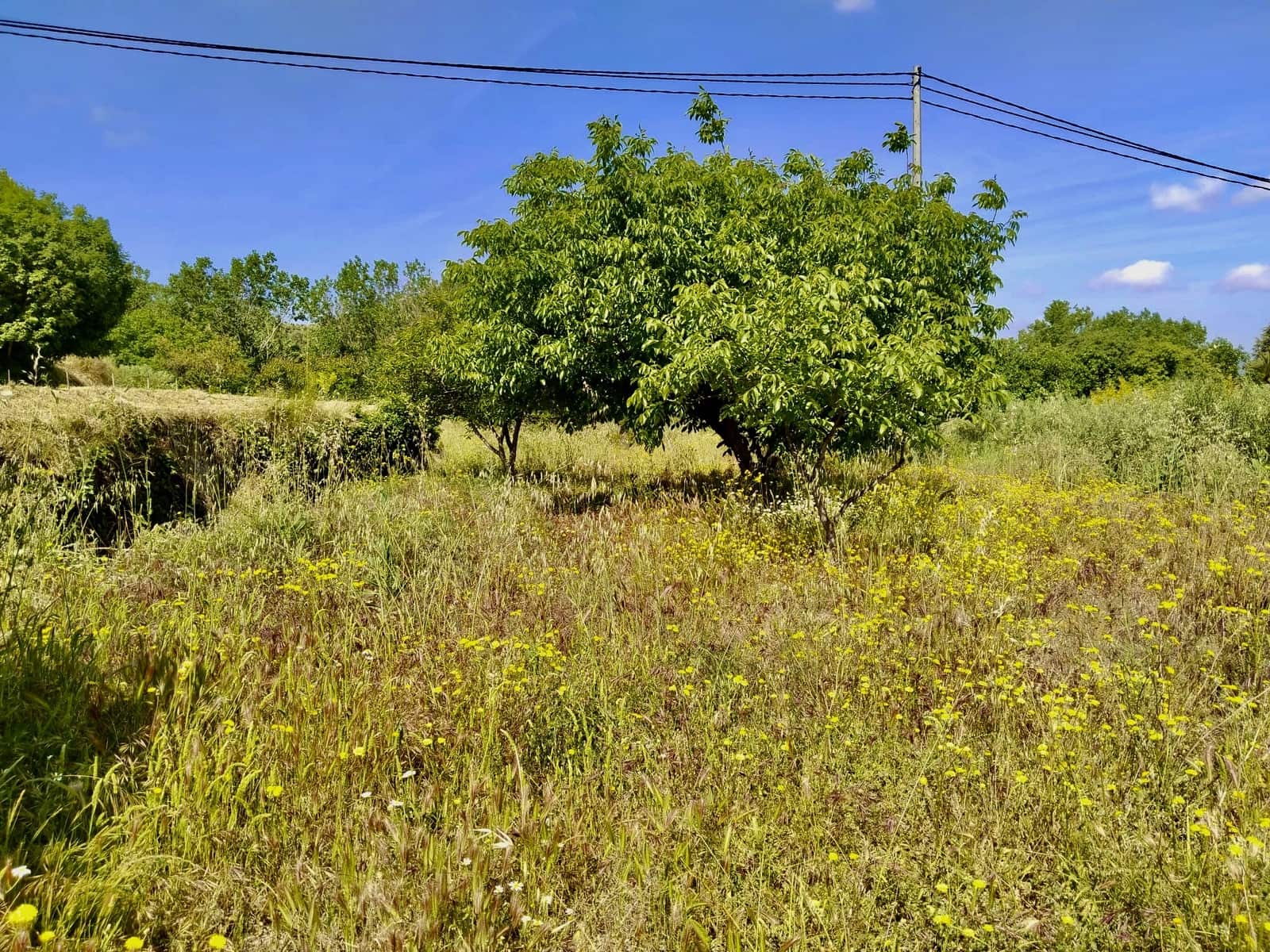 4 soveværelse Byhus til salg i Penaguila - € 144.000 (Ref: 9006287)