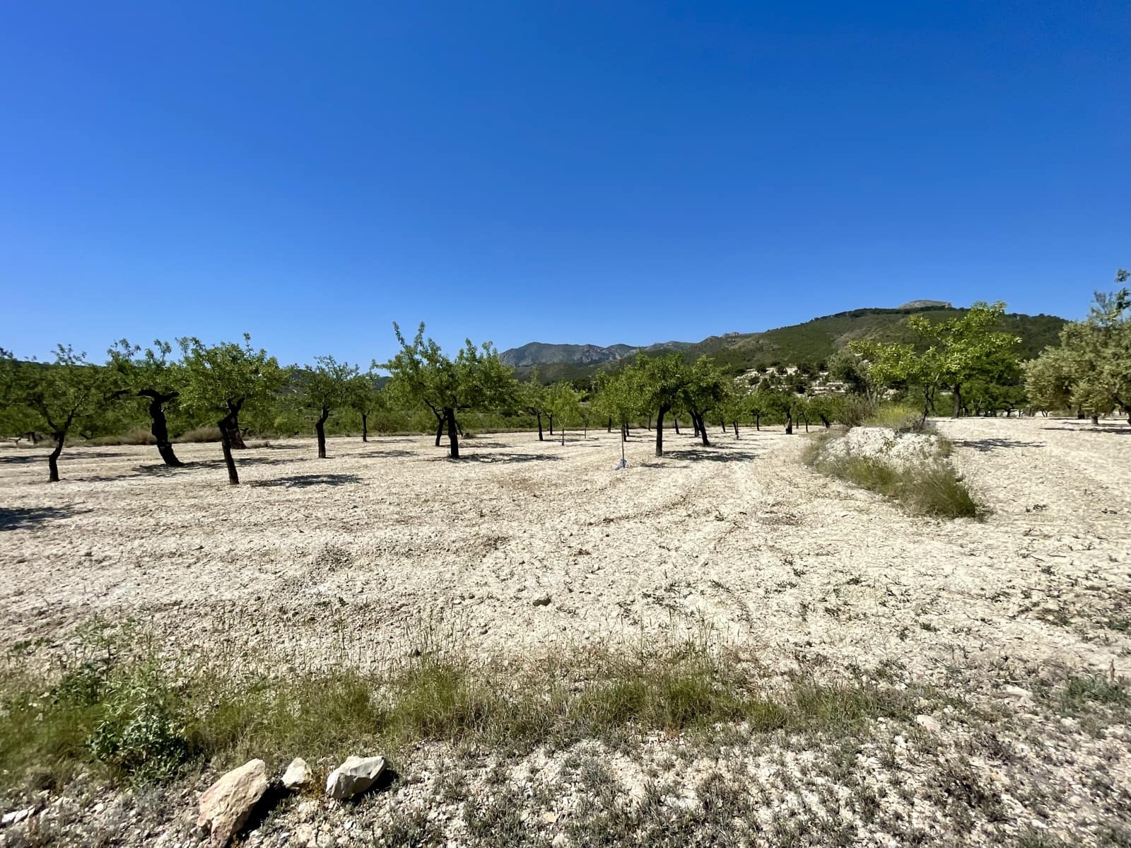 2 soveværelse Finca/Landehus til salg i Relleu - € 190.000 (Ref: 9047149)