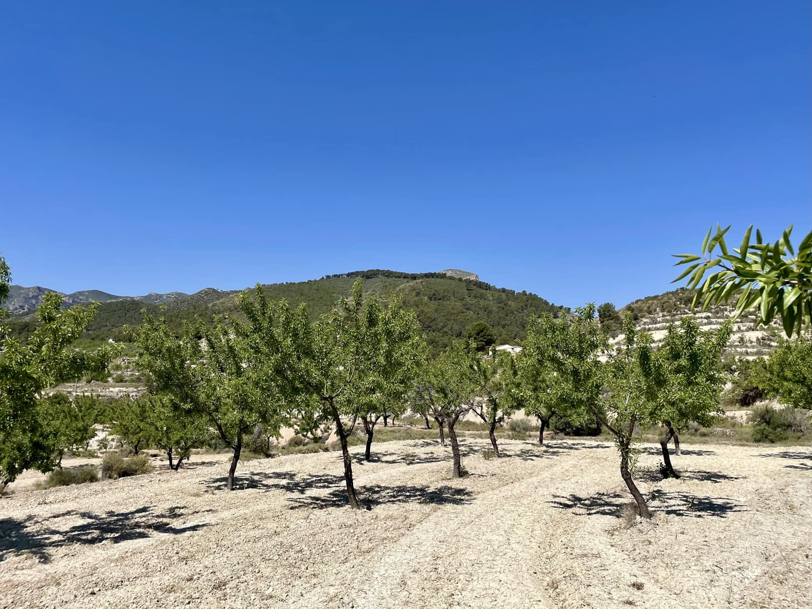 2 soveværelse Finca/Landehus til salg i Relleu - € 190.000 (Ref: 9047149)