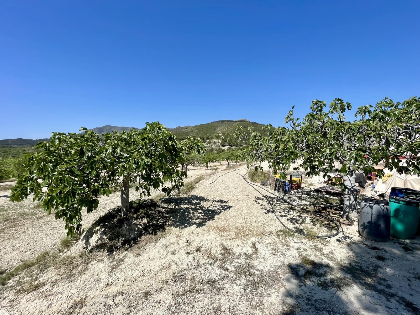 2 soveværelse Finca/Landehus til salg i Relleu - € 190.000 (Ref: 9047149)