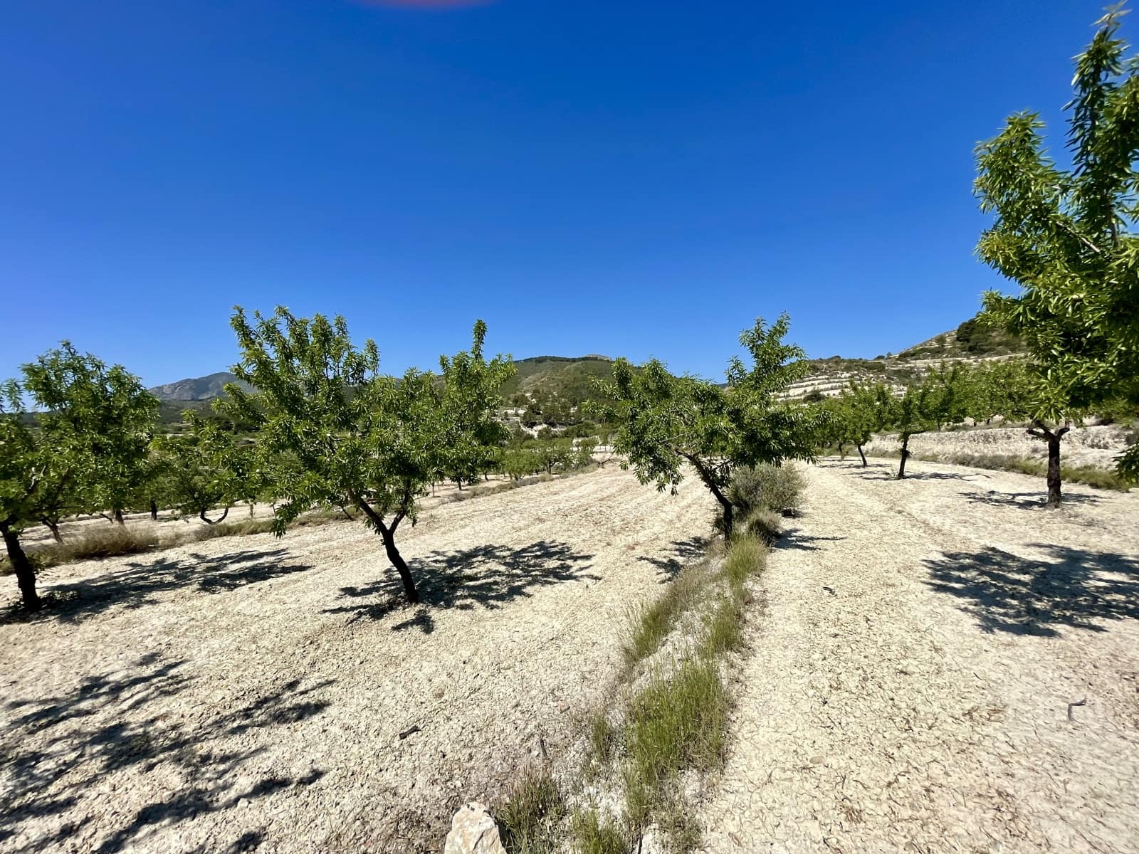 2 soveværelse Finca/Landehus til salg i Relleu - € 190.000 (Ref: 9047149)