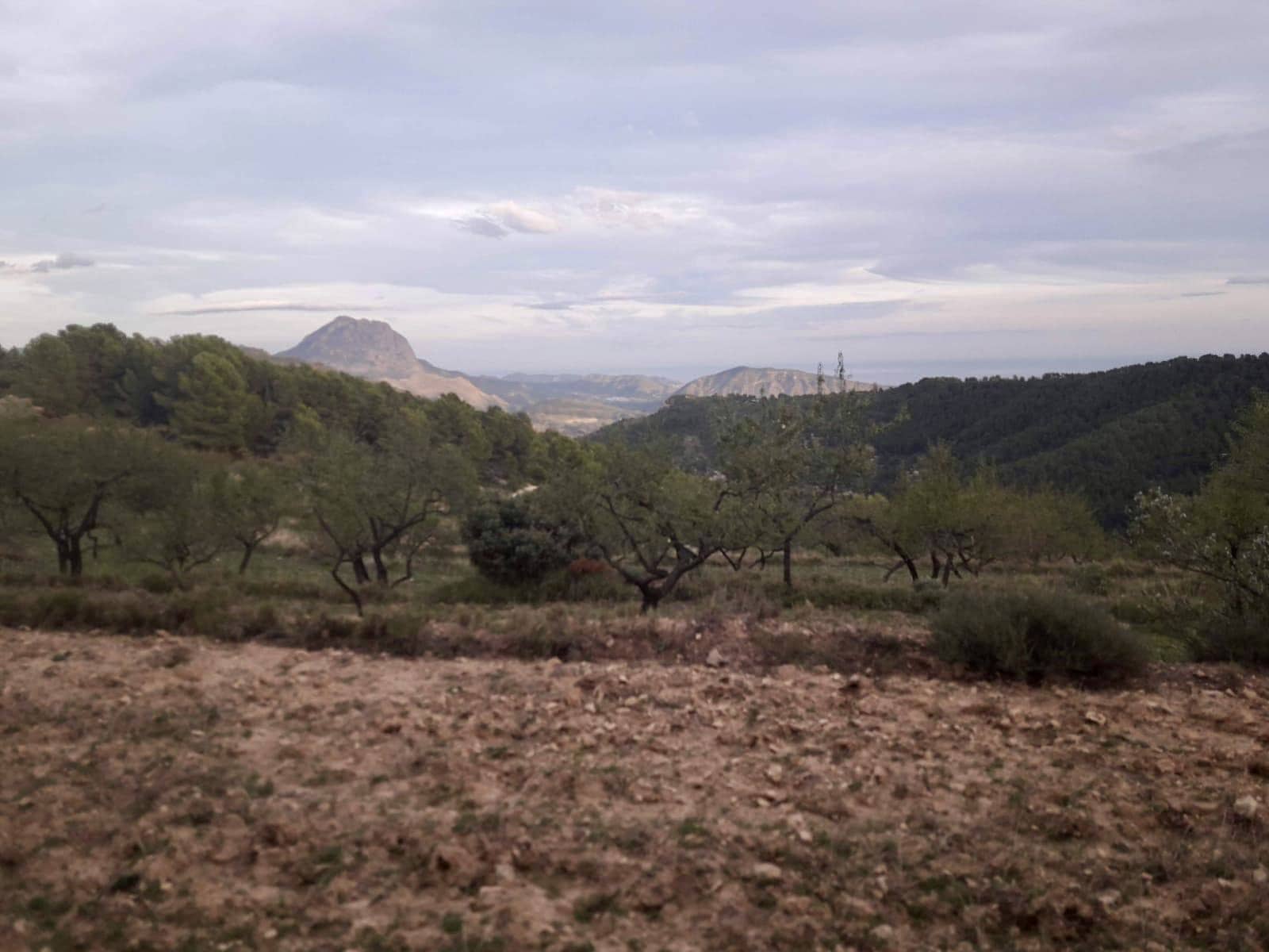 Grunde uden byggetilladelser til salg i Relleu - € 540.000 (Ref: 9050502)