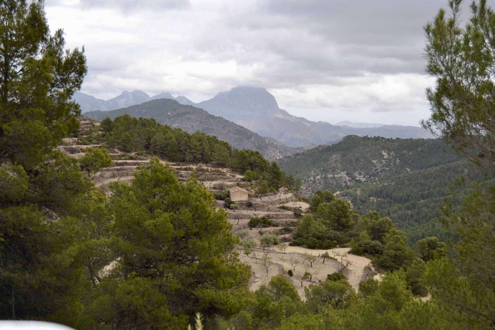 Grunde uden byggetilladelser til salg i Relleu - € 540.000 (Ref: 9050502)