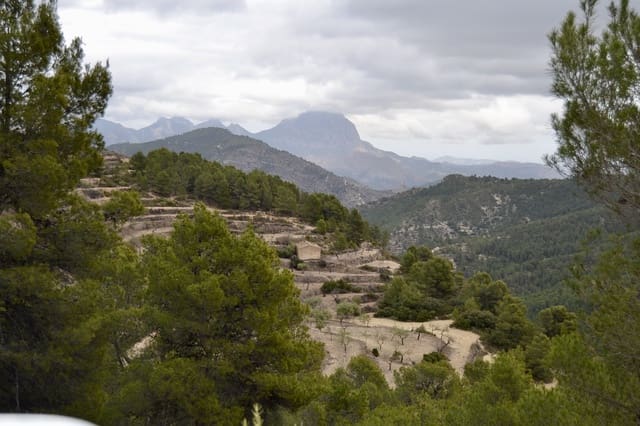 Grunde uden byggetilladelser til salg i Relleu - € 540.000 (Ref: 9050502)