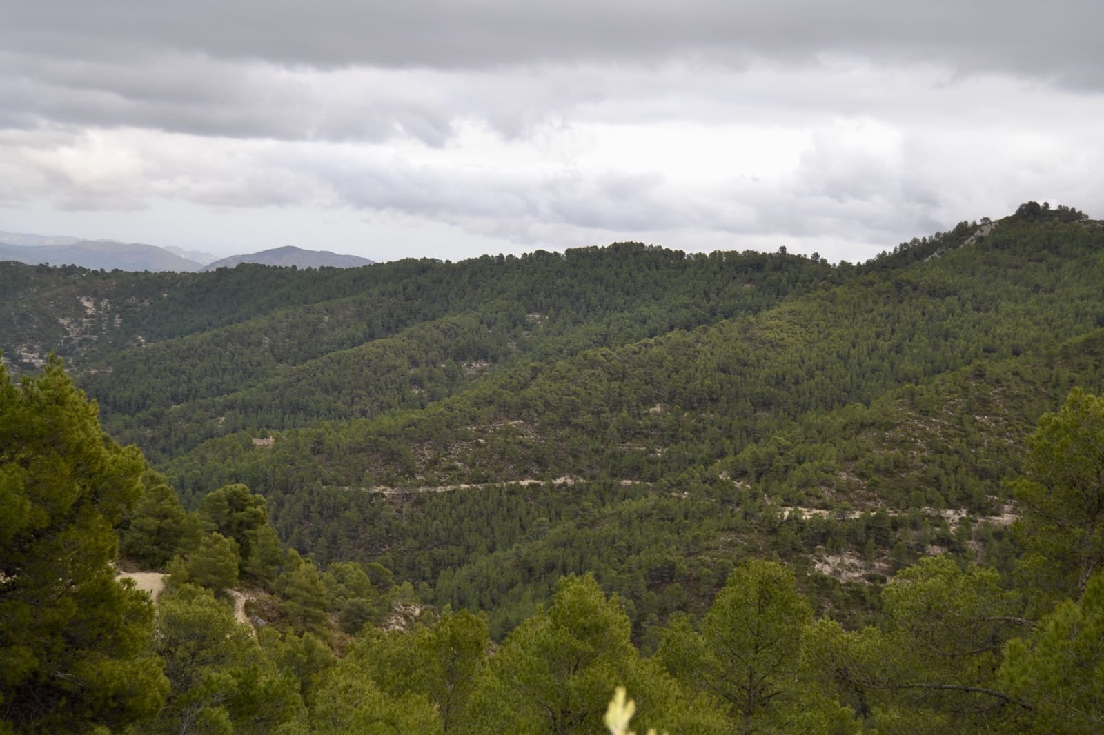 Grunde uden byggetilladelser til salg i Relleu - € 540.000 (Ref: 9050502)