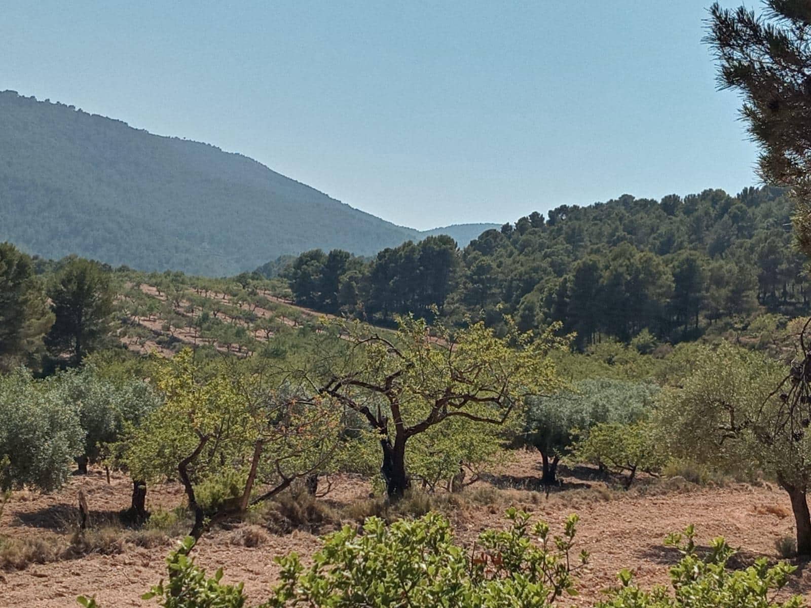 Grunde uden byggetilladelser til salg i Relleu - € 540.000 (Ref: 9050502)