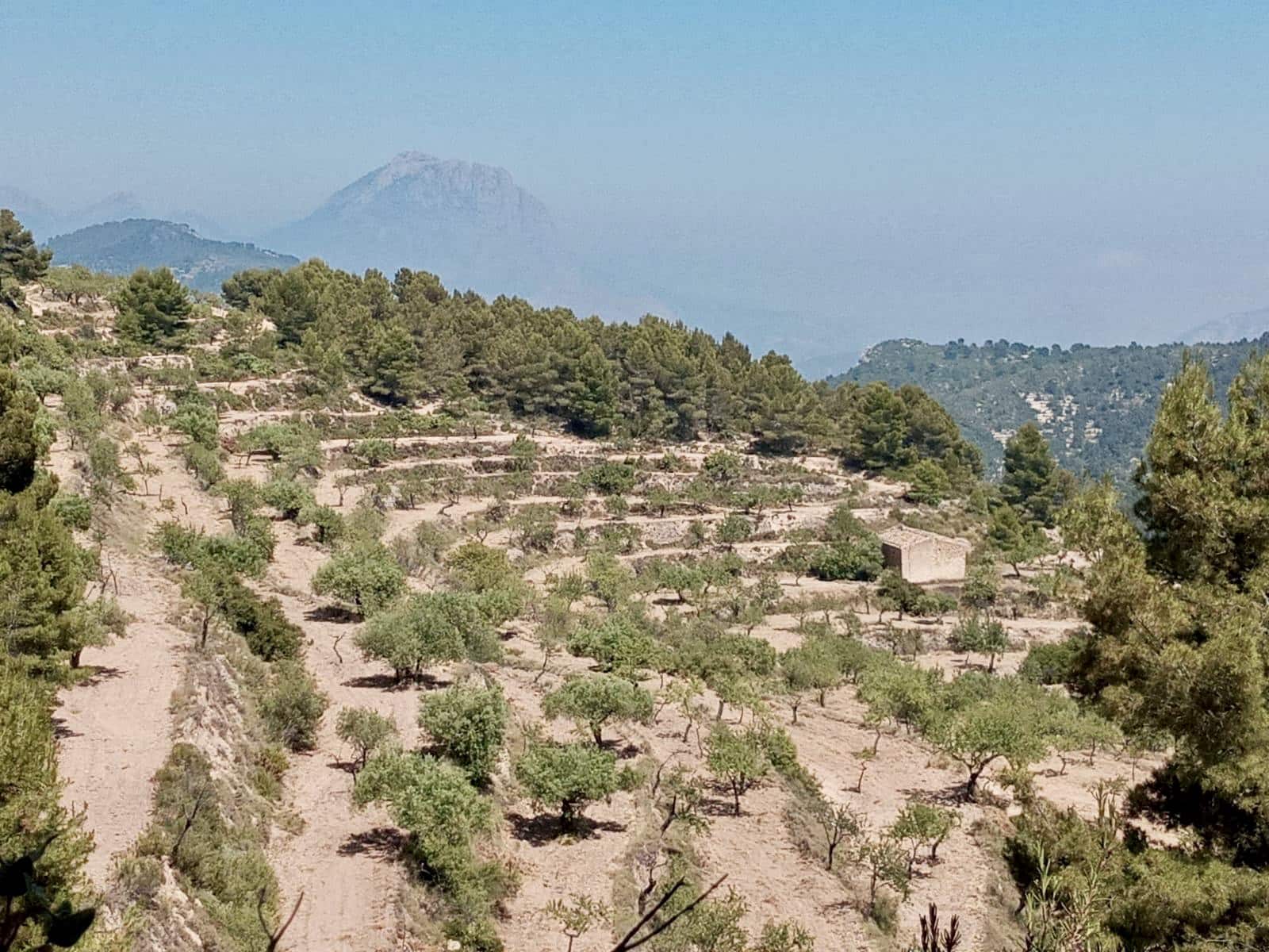 Grunde uden byggetilladelser til salg i Relleu - € 540.000 (Ref: 9050502)