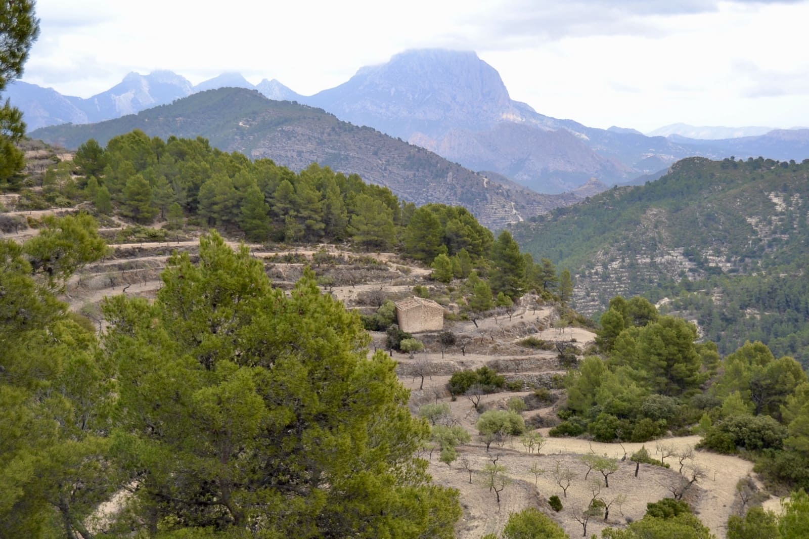 Grunde uden byggetilladelser til salg i Relleu - € 540.000 (Ref: 9050502)