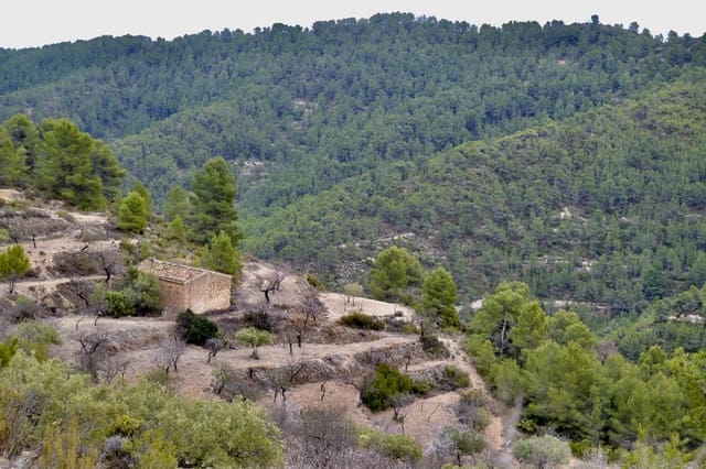 Grunde uden byggetilladelser til salg i Relleu - € 540.000 (Ref: 9050502)