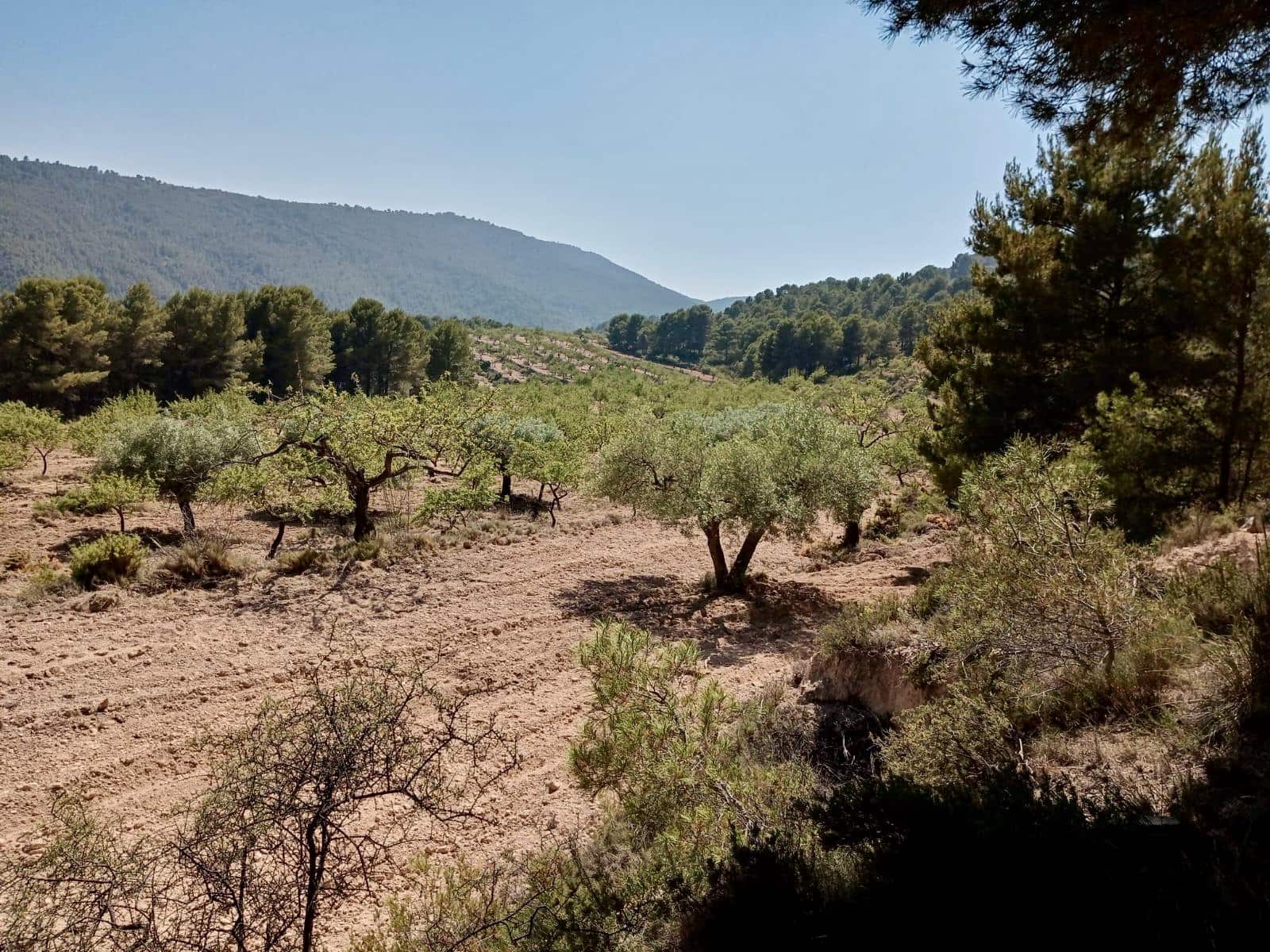 Grunde uden byggetilladelser til salg i Relleu - € 540.000 (Ref: 9050502)