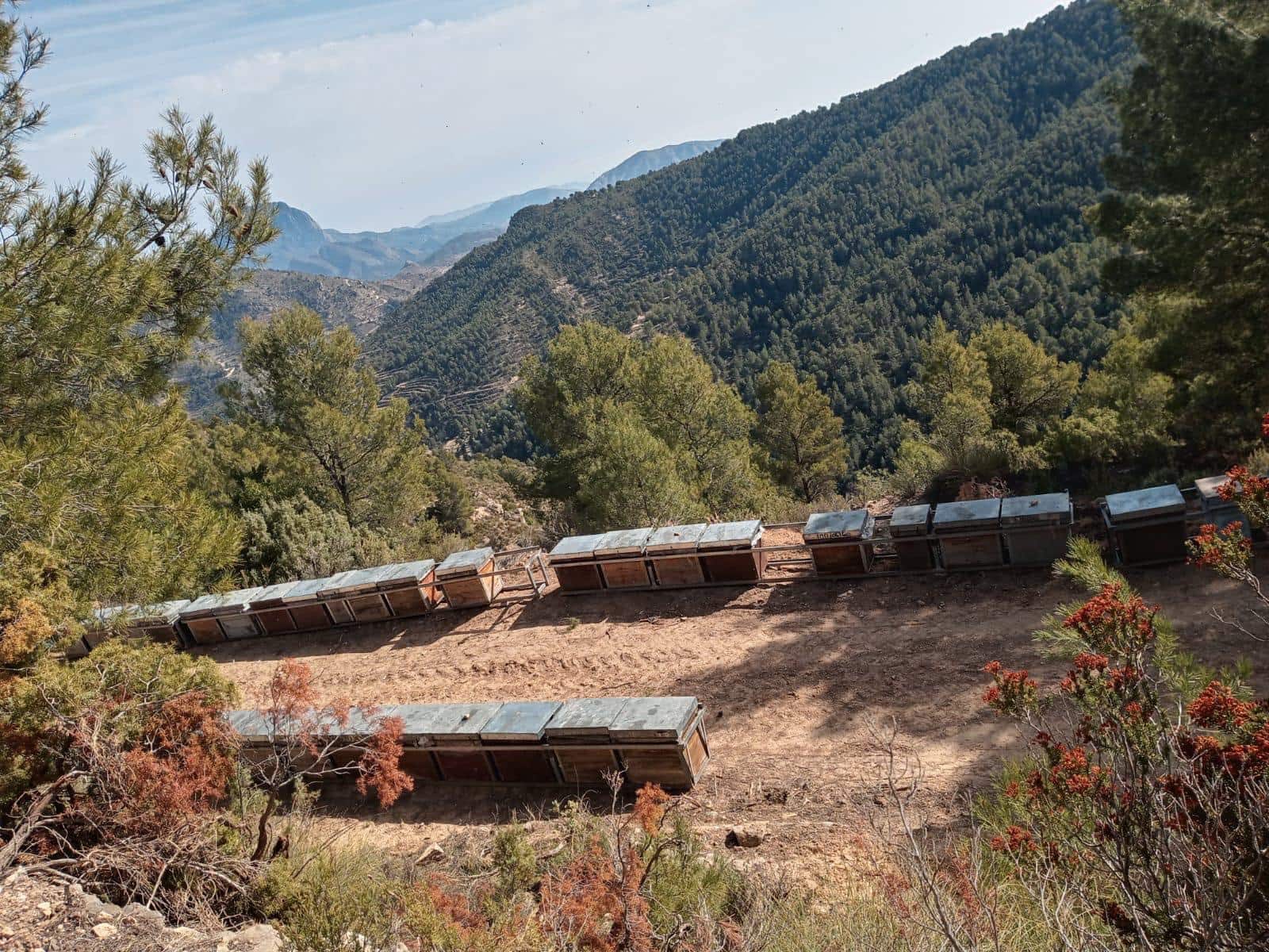 Grunde uden byggetilladelser til salg i Relleu - € 540.000 (Ref: 9050502)